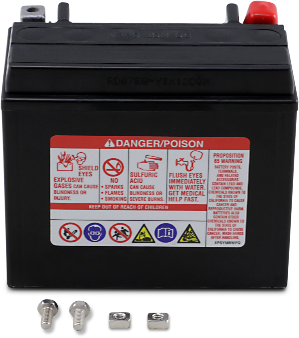 Yuasa YTX12 Factory Activated AGM Battery