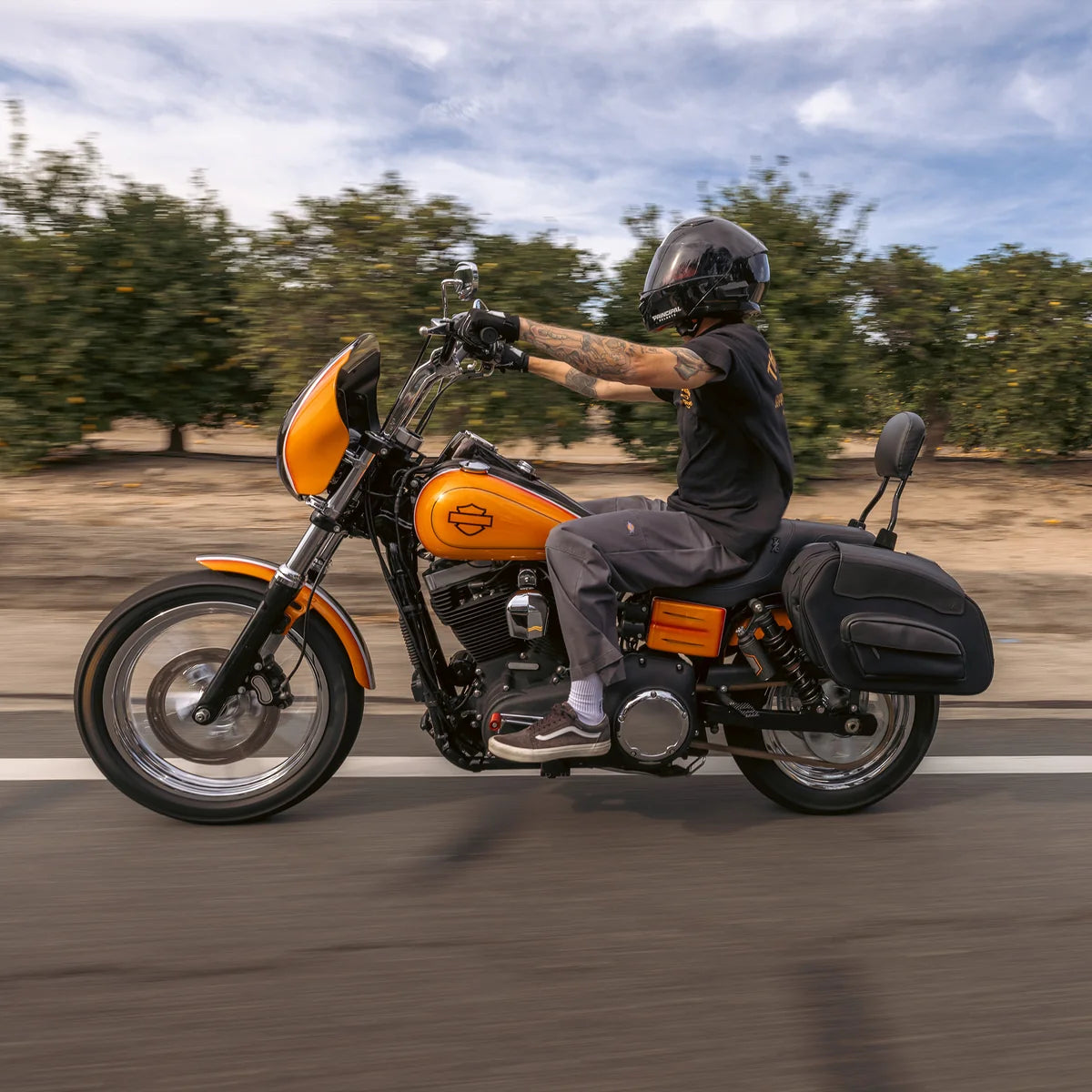 Thrashin Sport Saddlebags