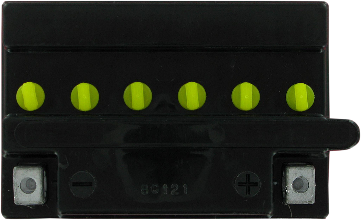Yuasa YB10L-B2 Yumicron Conventional Battery